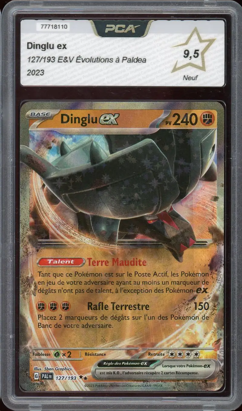 PCA 9.5 Dinglu Ex