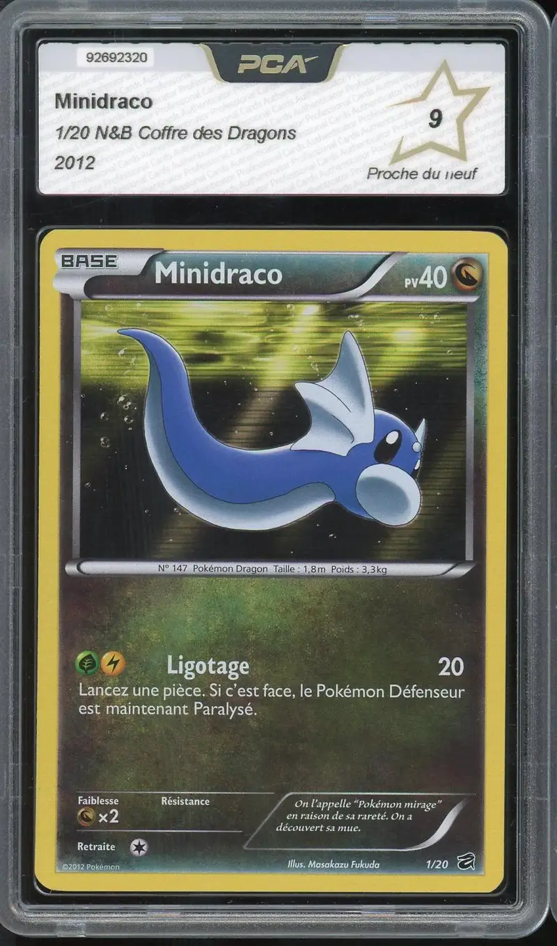 PCA 9 Minidraco Holo