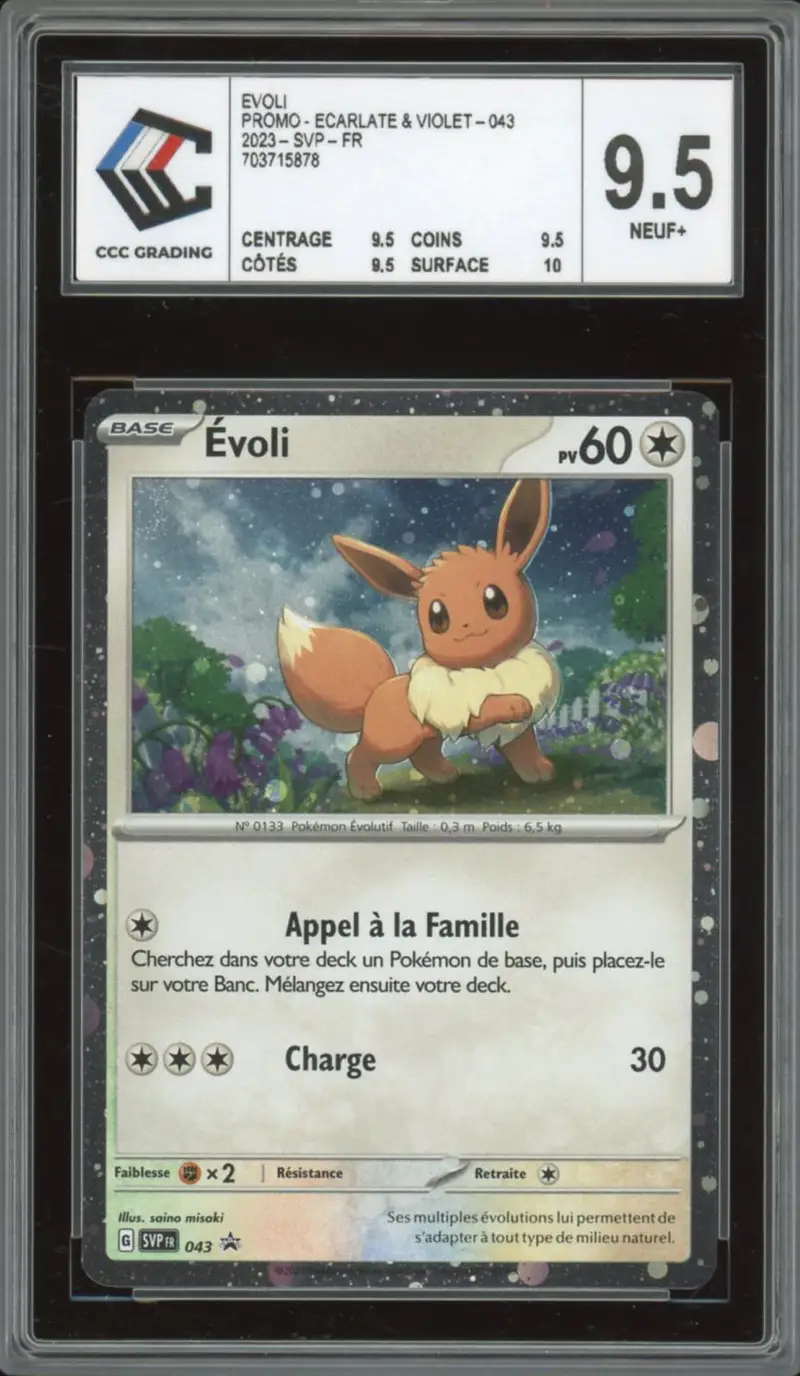 CCC 9.5 Evoli Holo