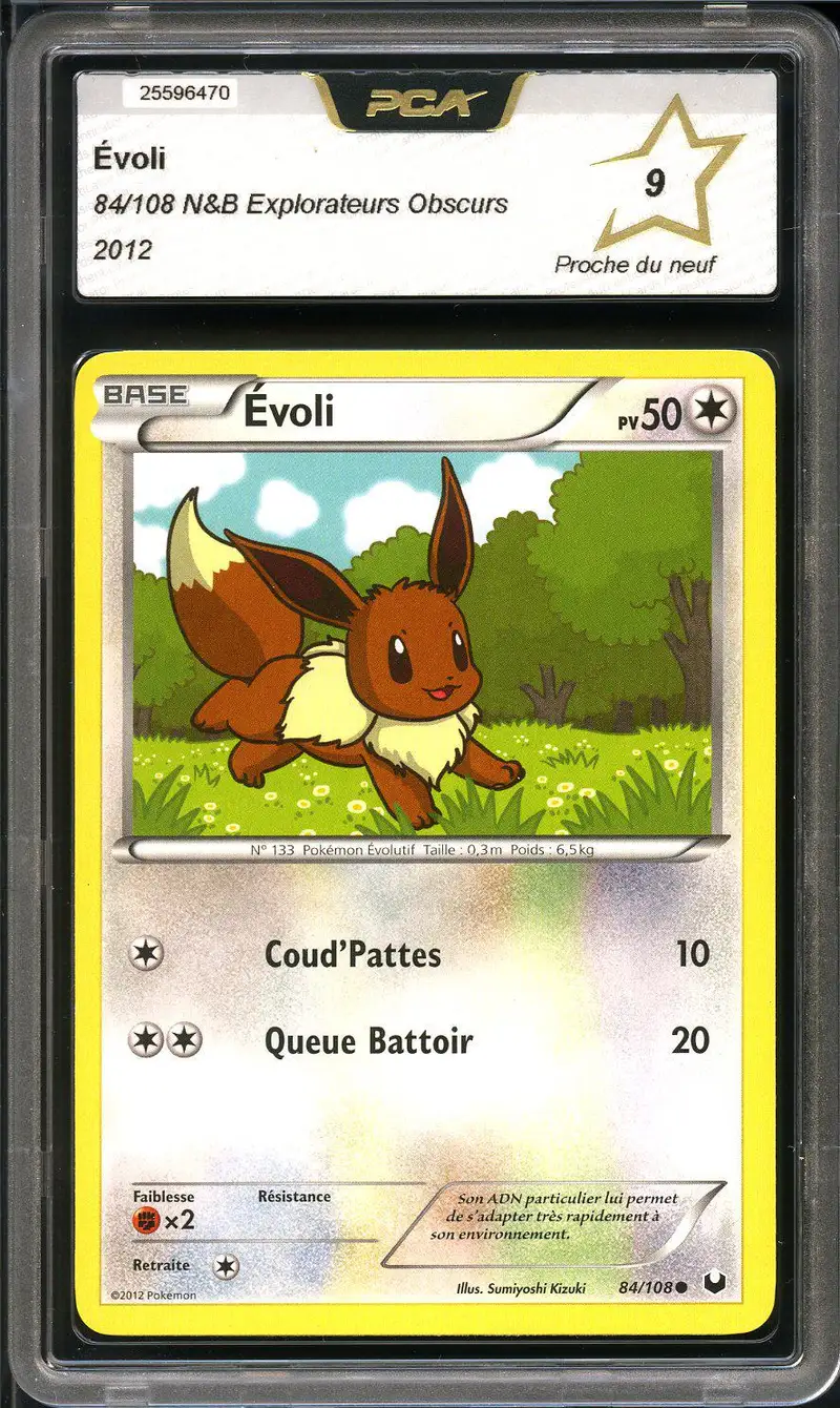 PCA 9 Evoli