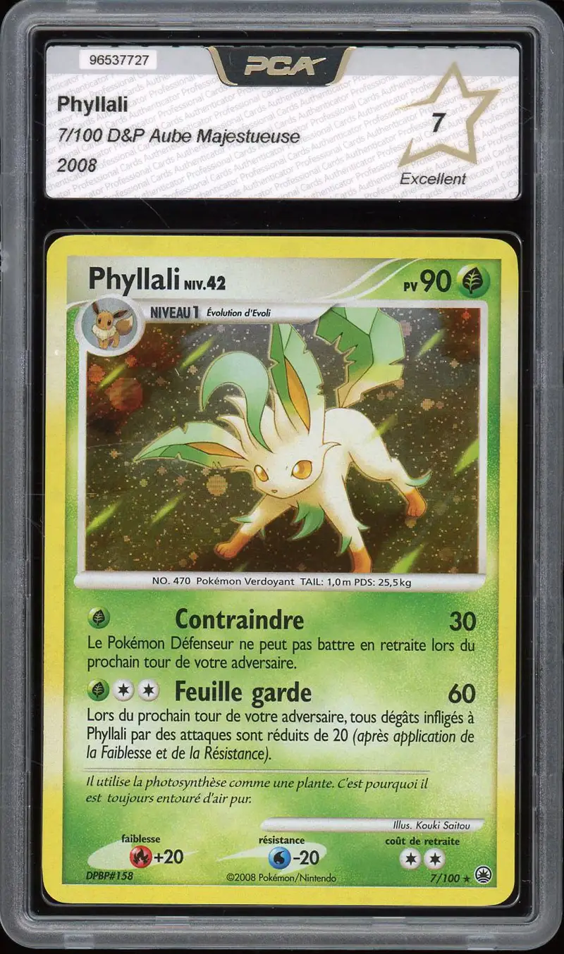 PCA 7 Phyllali Holo