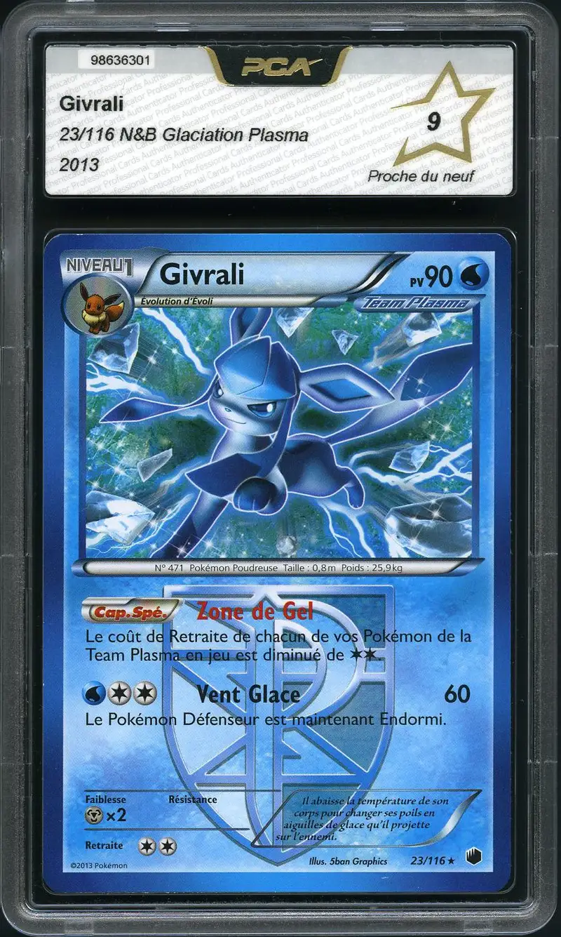 PCA 9 Givrali
