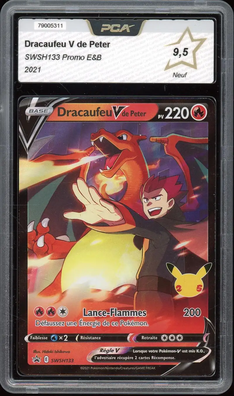 PCA 9.5 Dracaufeu V de Peter