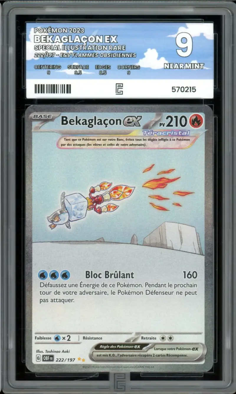 PG 9 Bekaglaçon Ex