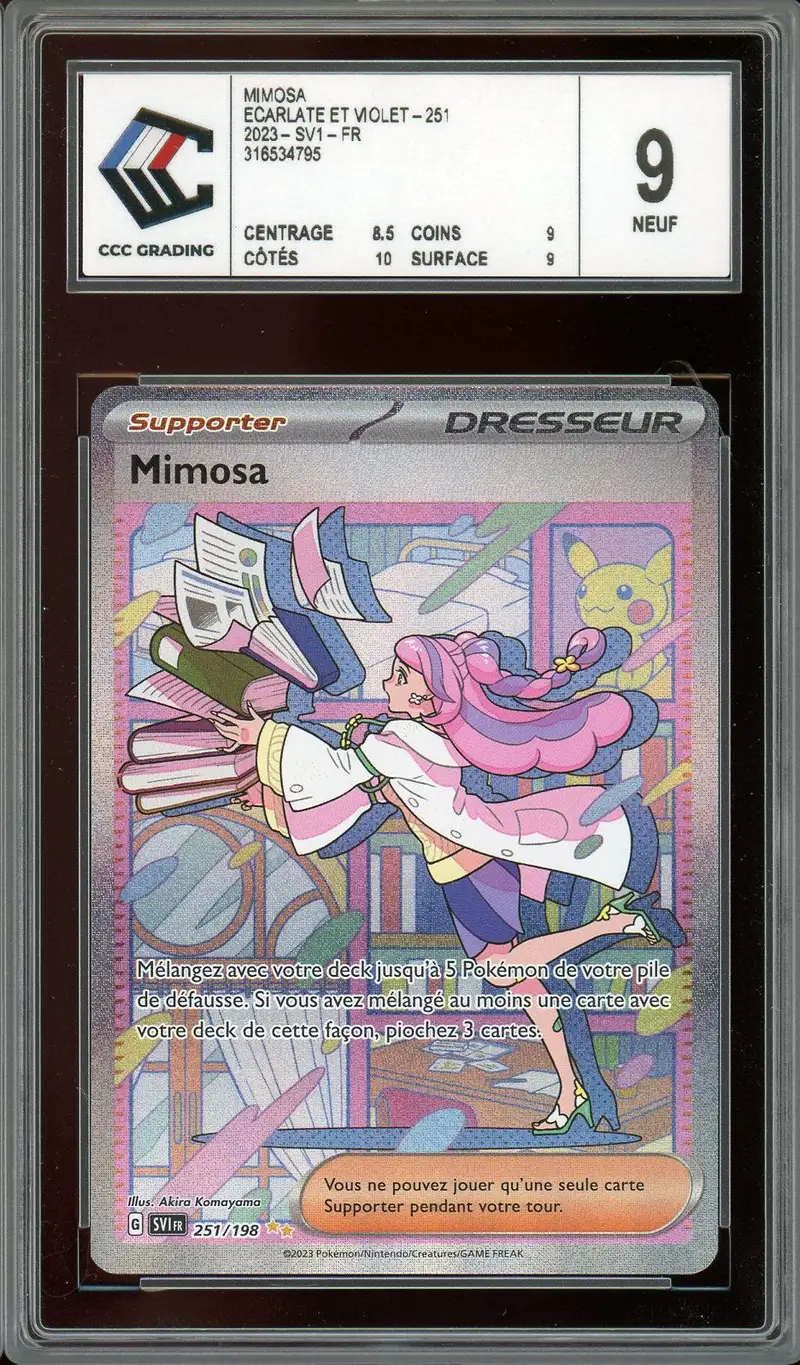 CCC 9 Mimosa
