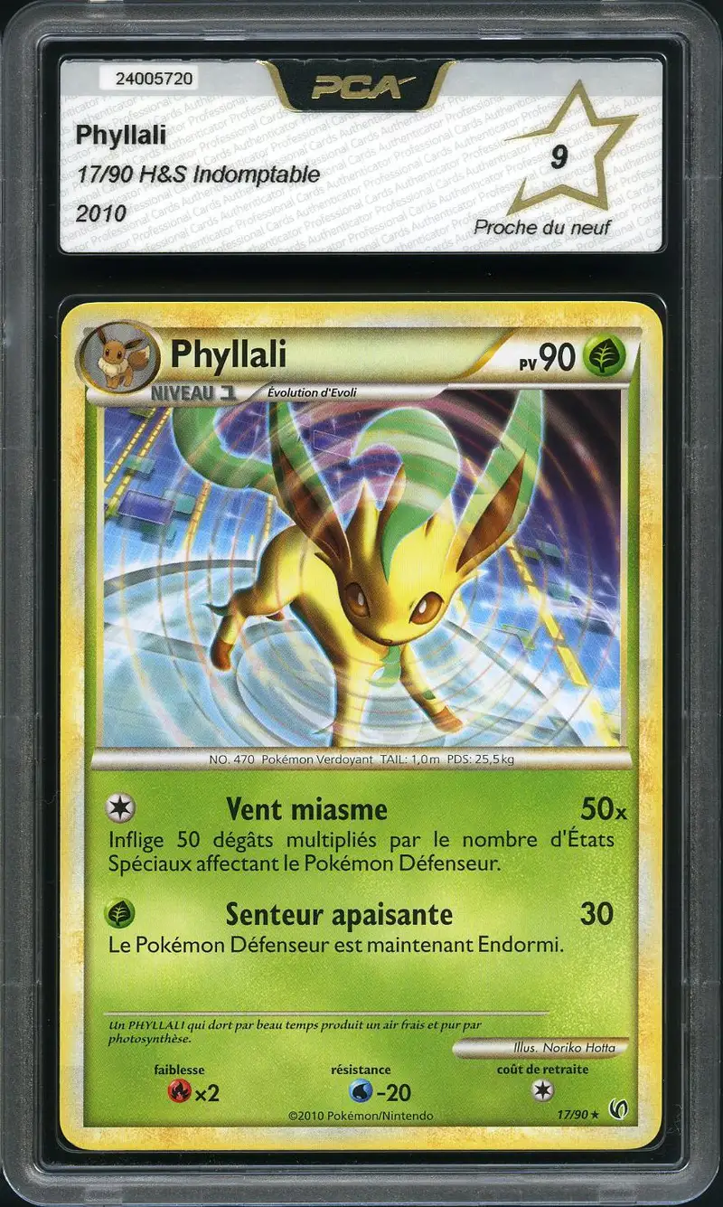 PCA 9 Phyllali