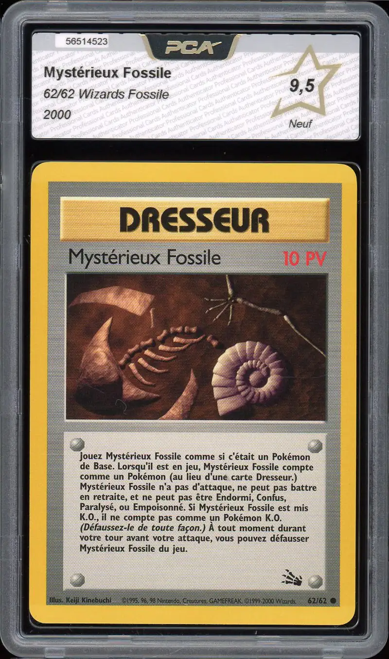 PCA 9.5 Mystérieux Fossile