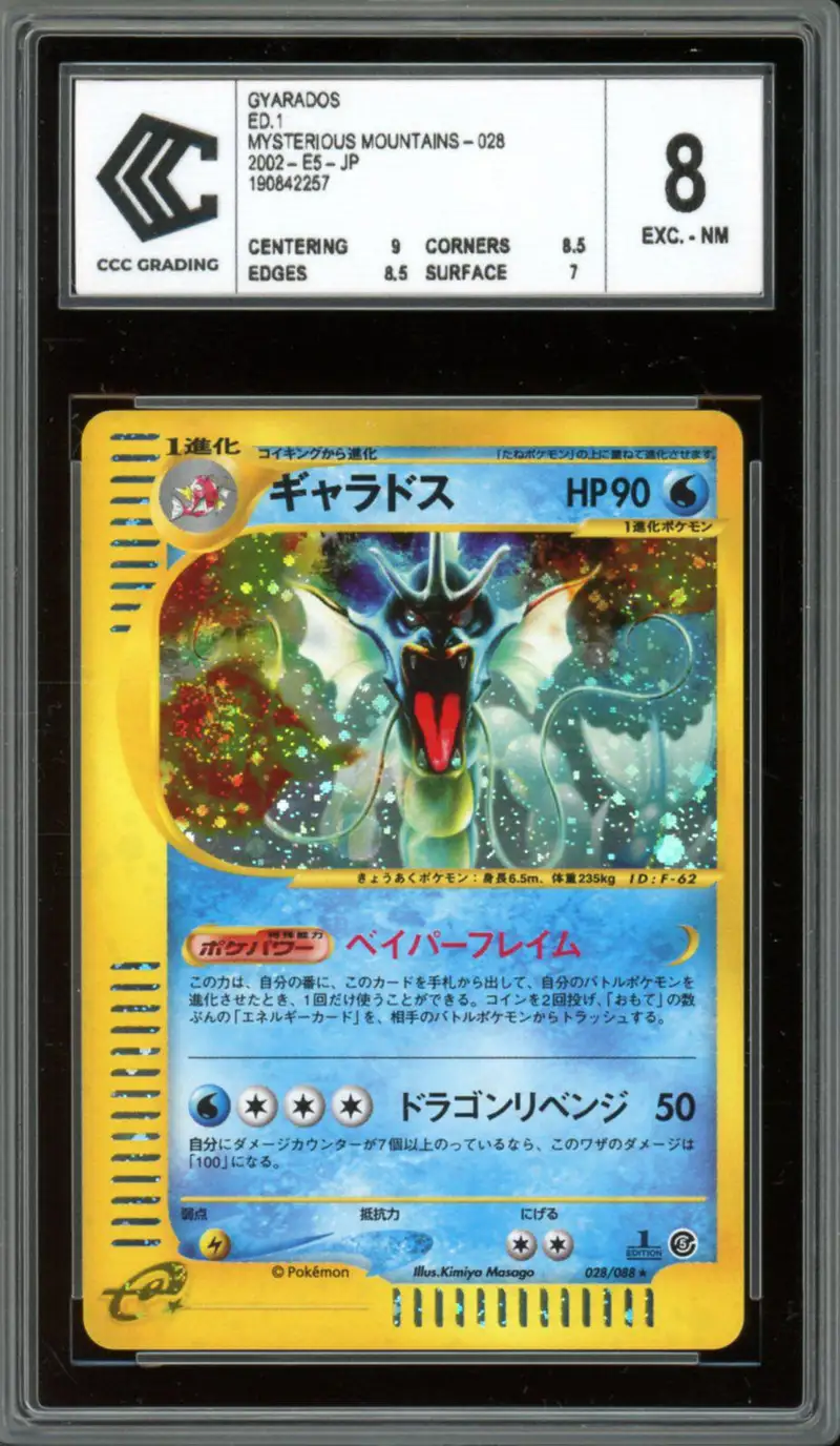 CCC 8 Gyarados Holo