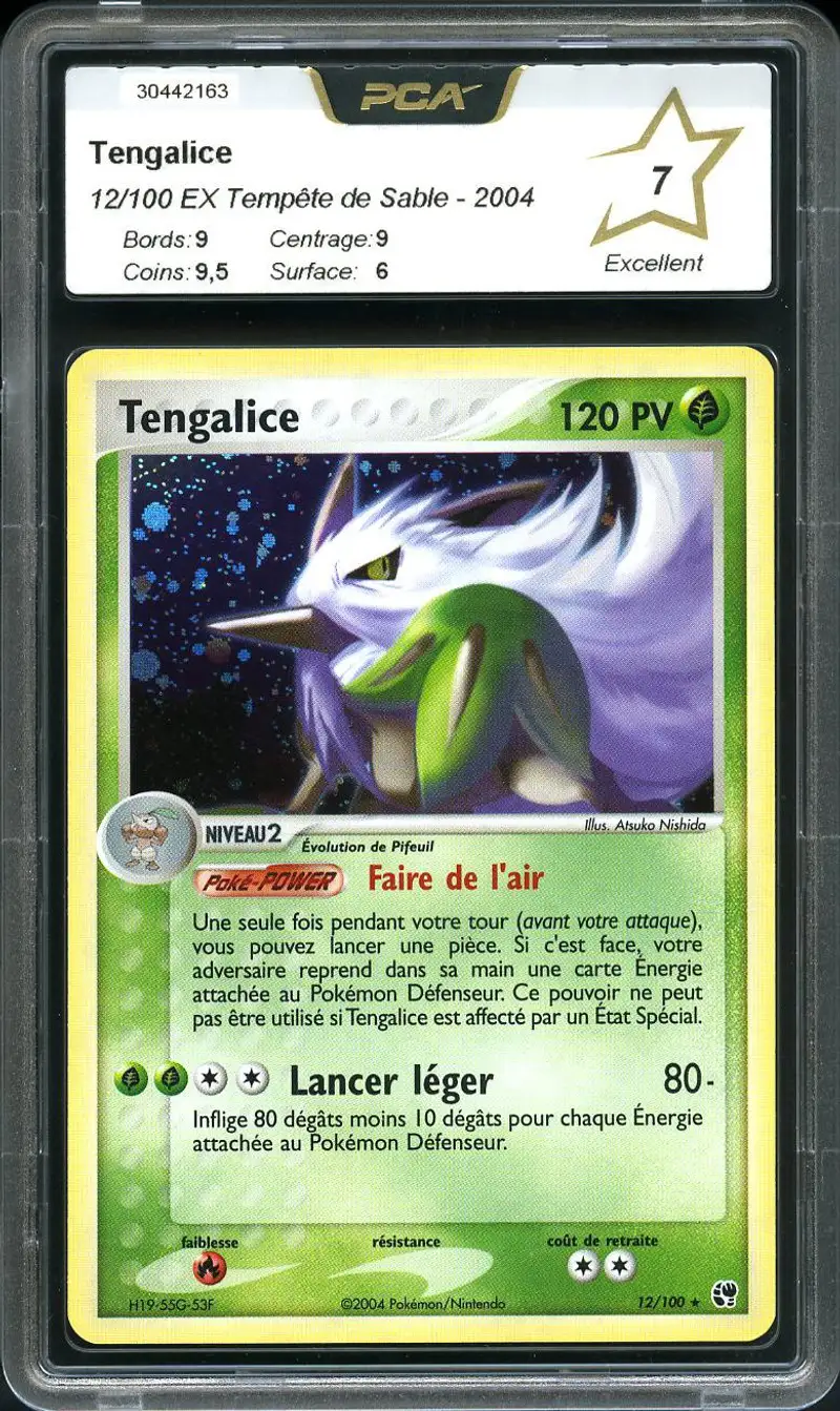 PCA 7 Tengalice Holo