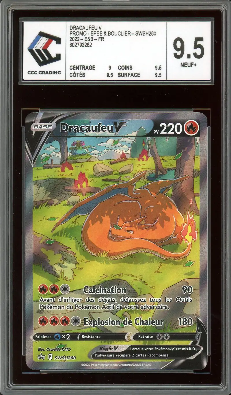 CCC 9.5 Dracaufeu V