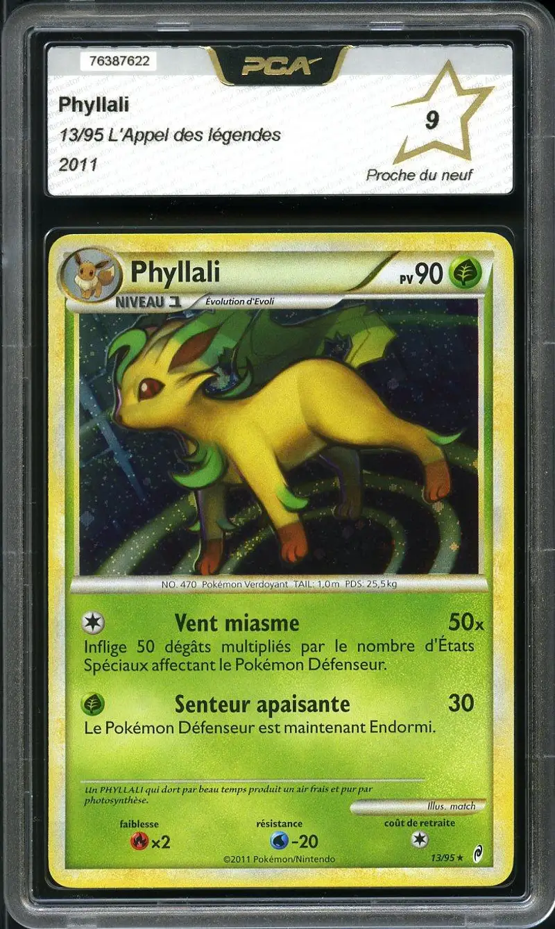PCA 9 Phyllali Holo