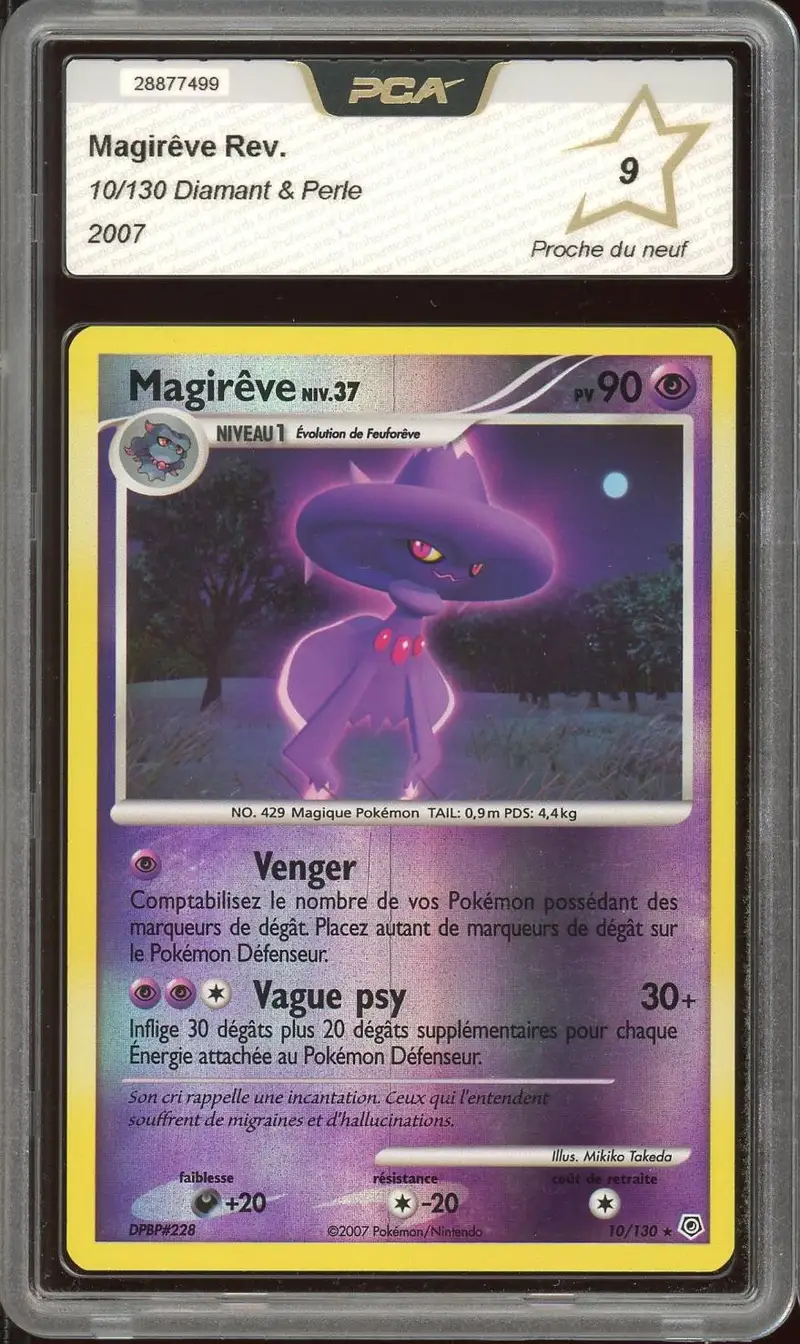 PCA 9 Magirêve Reverse