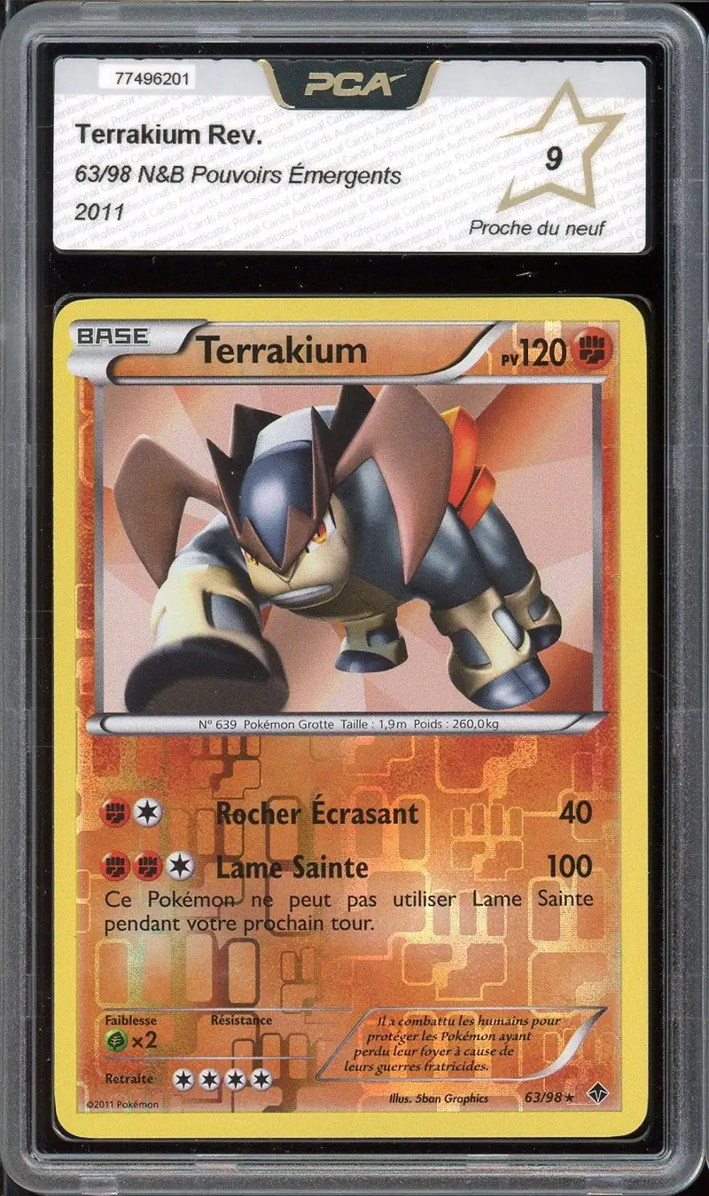 PCA 9 Terrakium Reverse