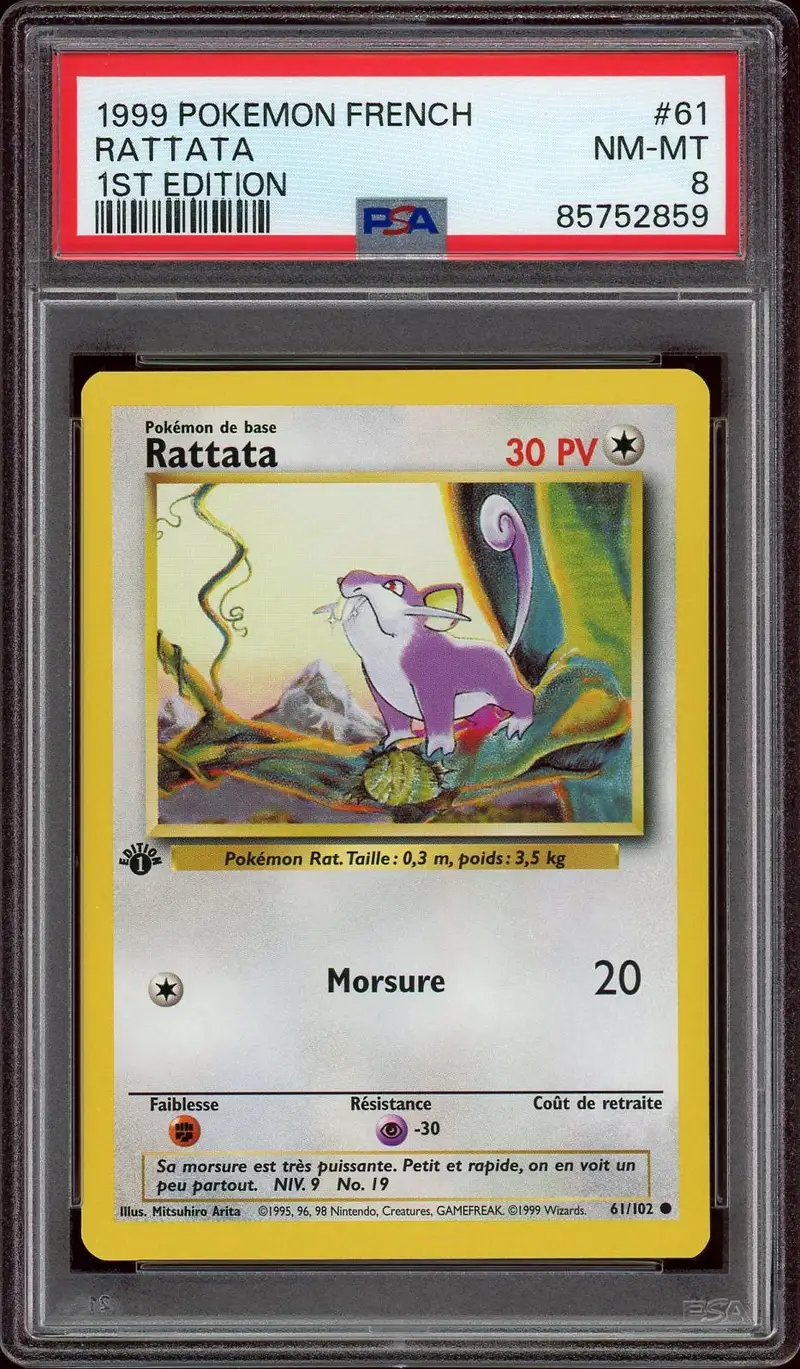 PSA 8 Rattata