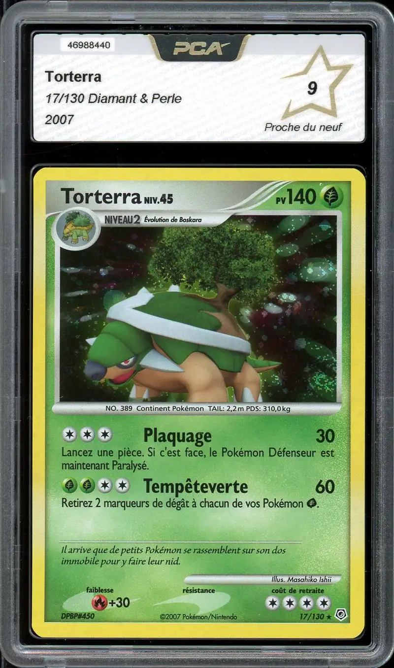 PCA 9 Torterra Holo