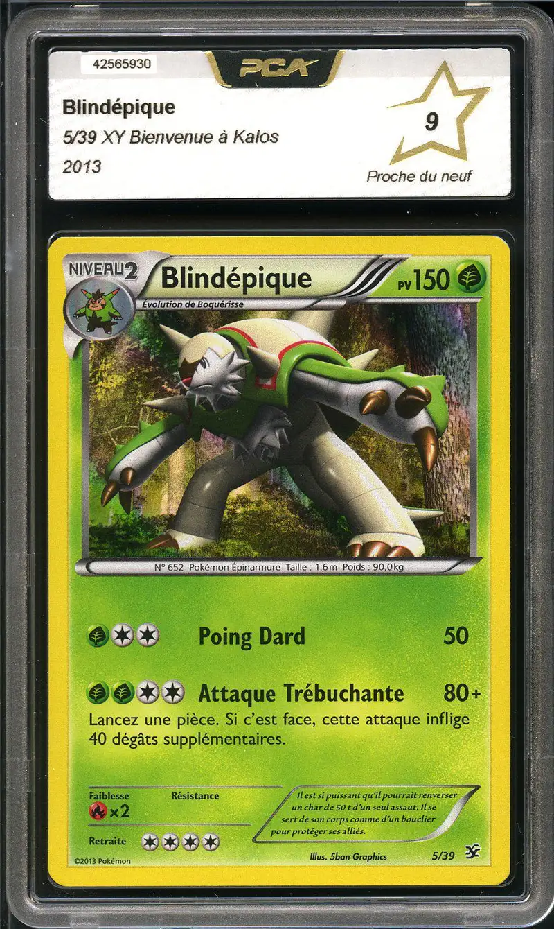 PCA 9 Blindépique Holo