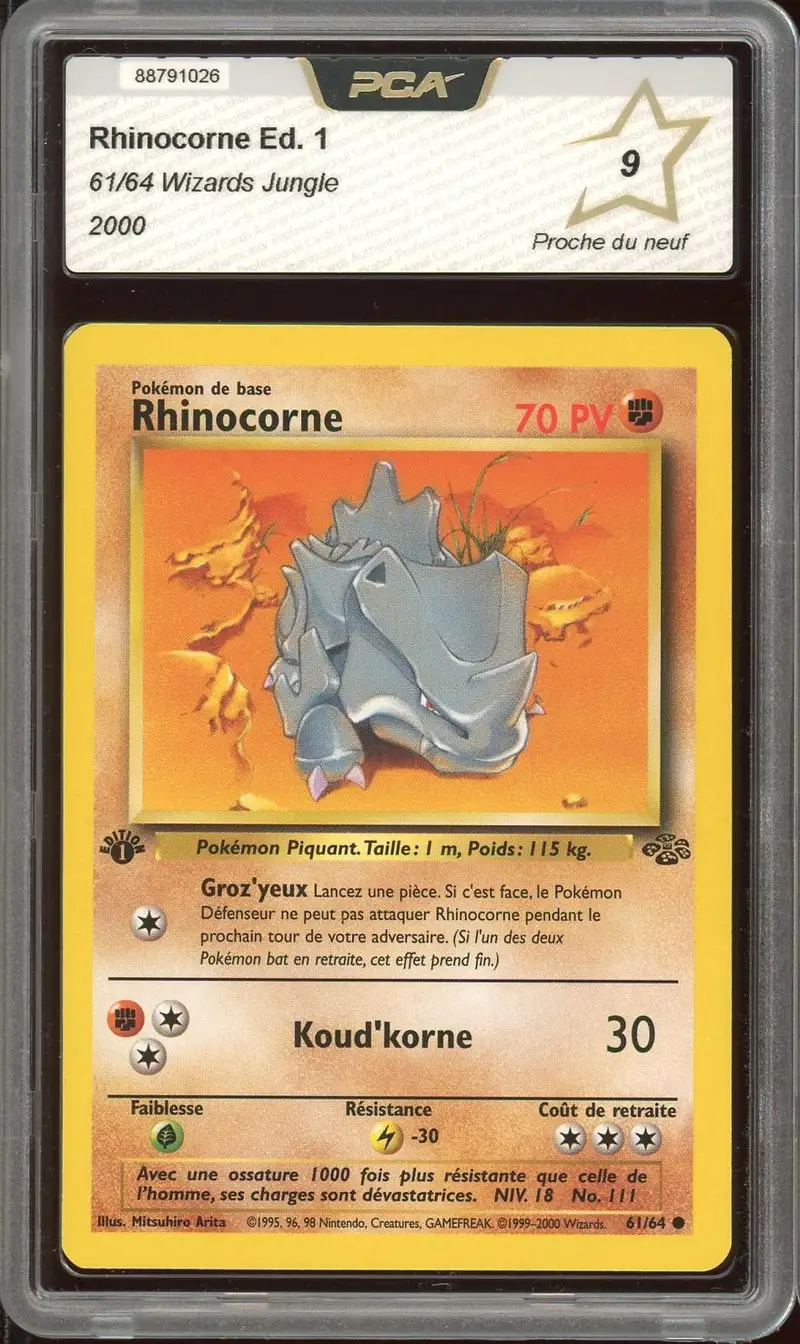 PCA 9 Rhinocorne