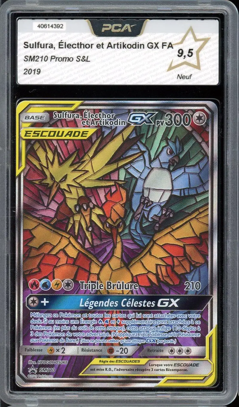 PCA 9.5 Sulfura, Électhor et Artikodin Gx