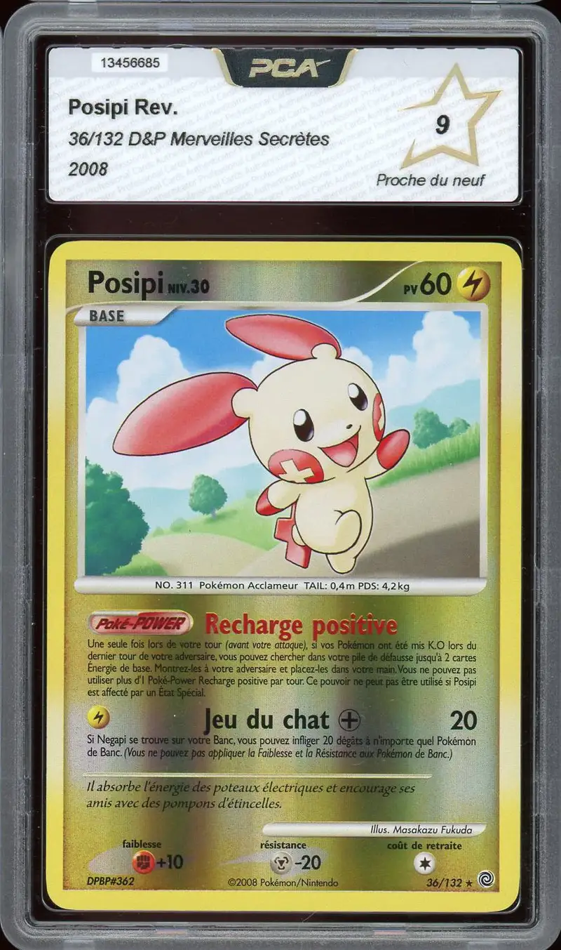 PCA 9 Posipi Reverse