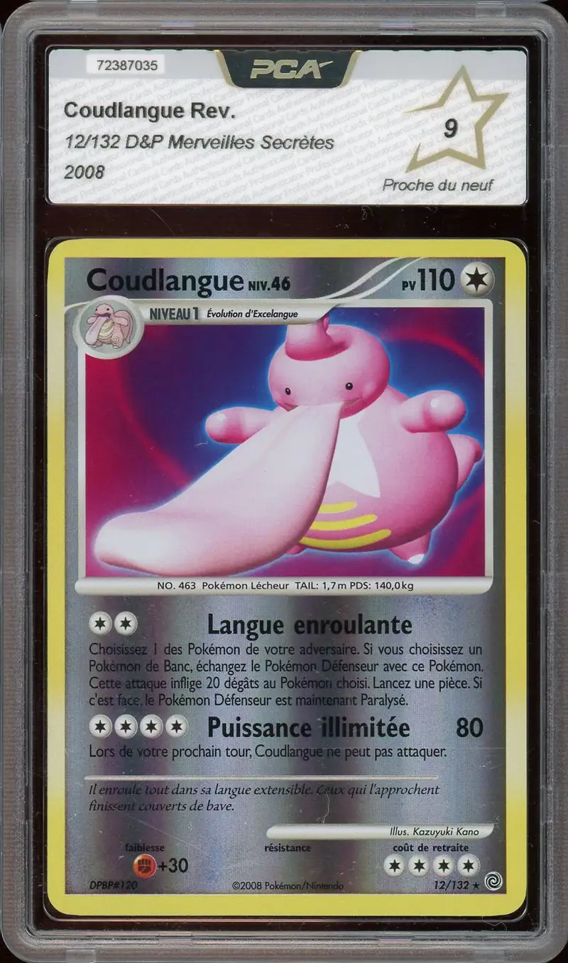 PCA 9 Coudlangue Reverse