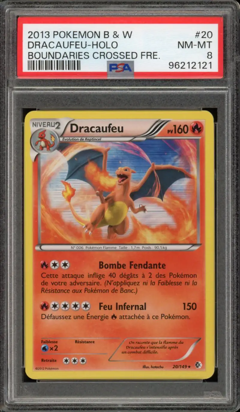 PSA 8 Dracaufeu Holo