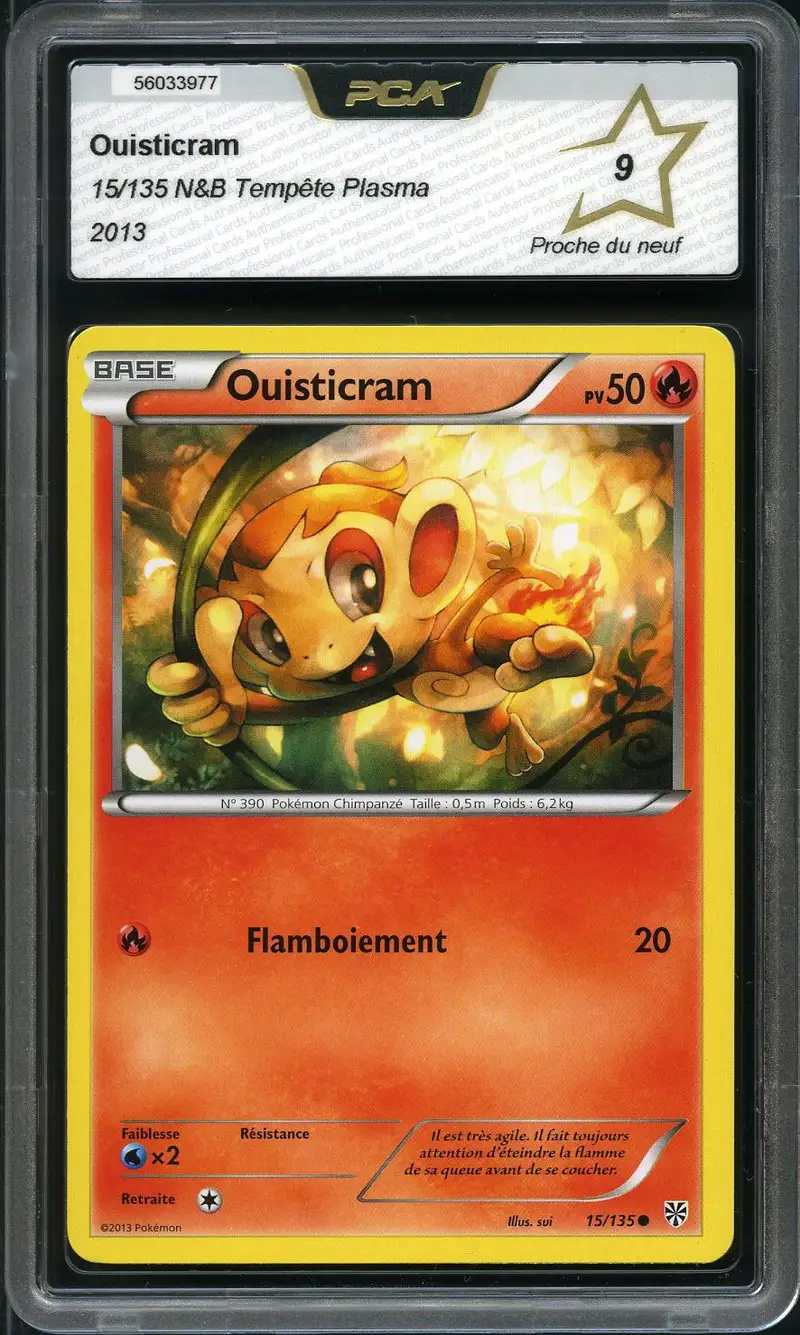 PCA 9 Ouisticram
