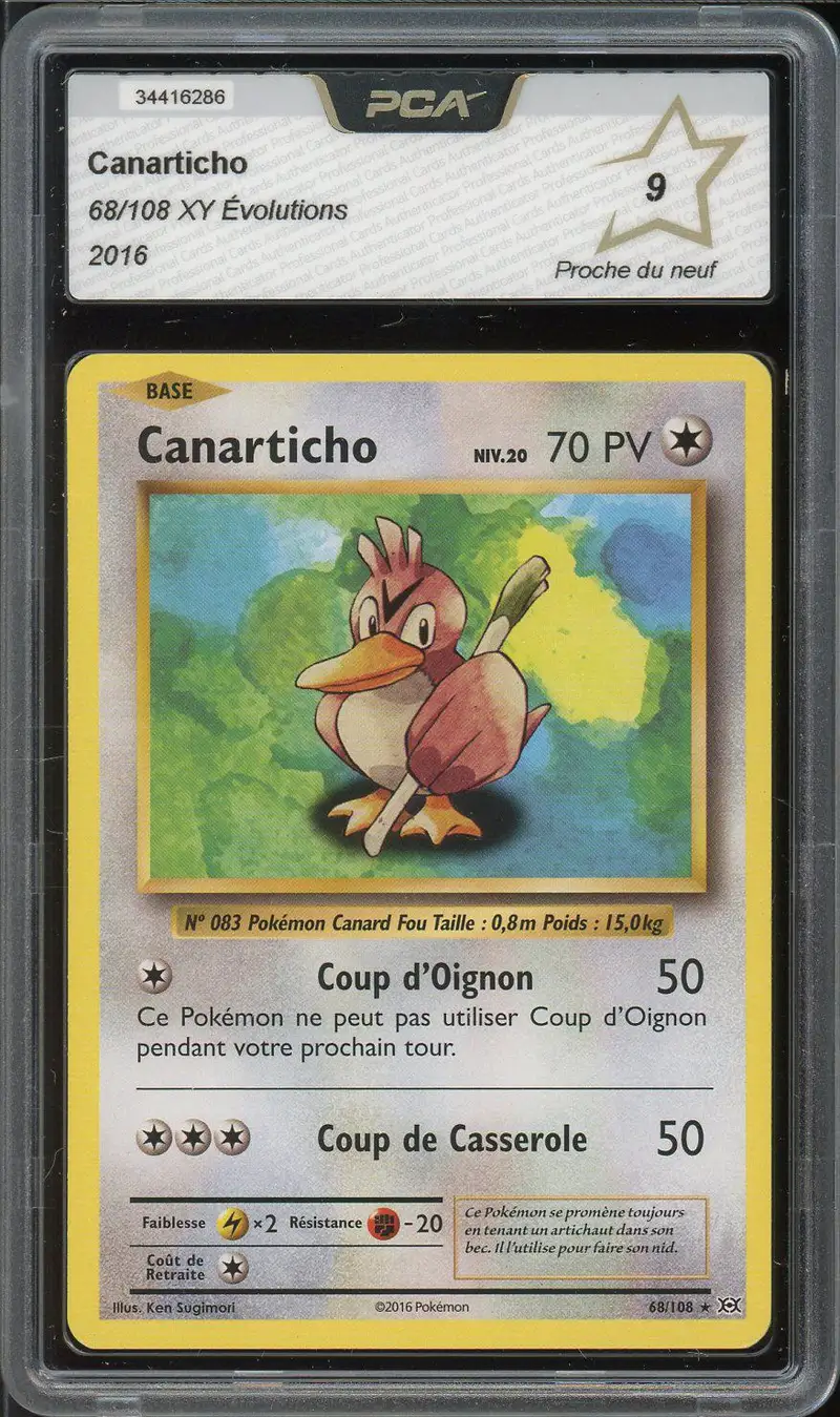 PCA 9 Canarticho