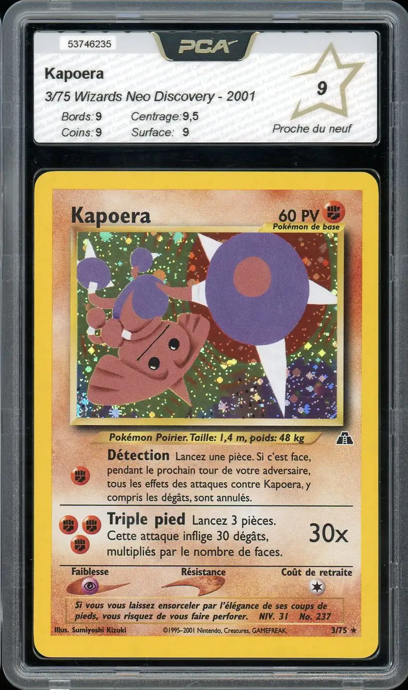 PCA 9 Kapoera Holo