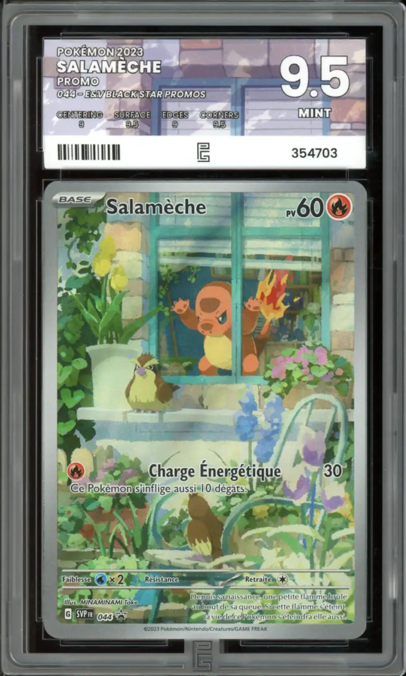 PG 9.5 Salamèche