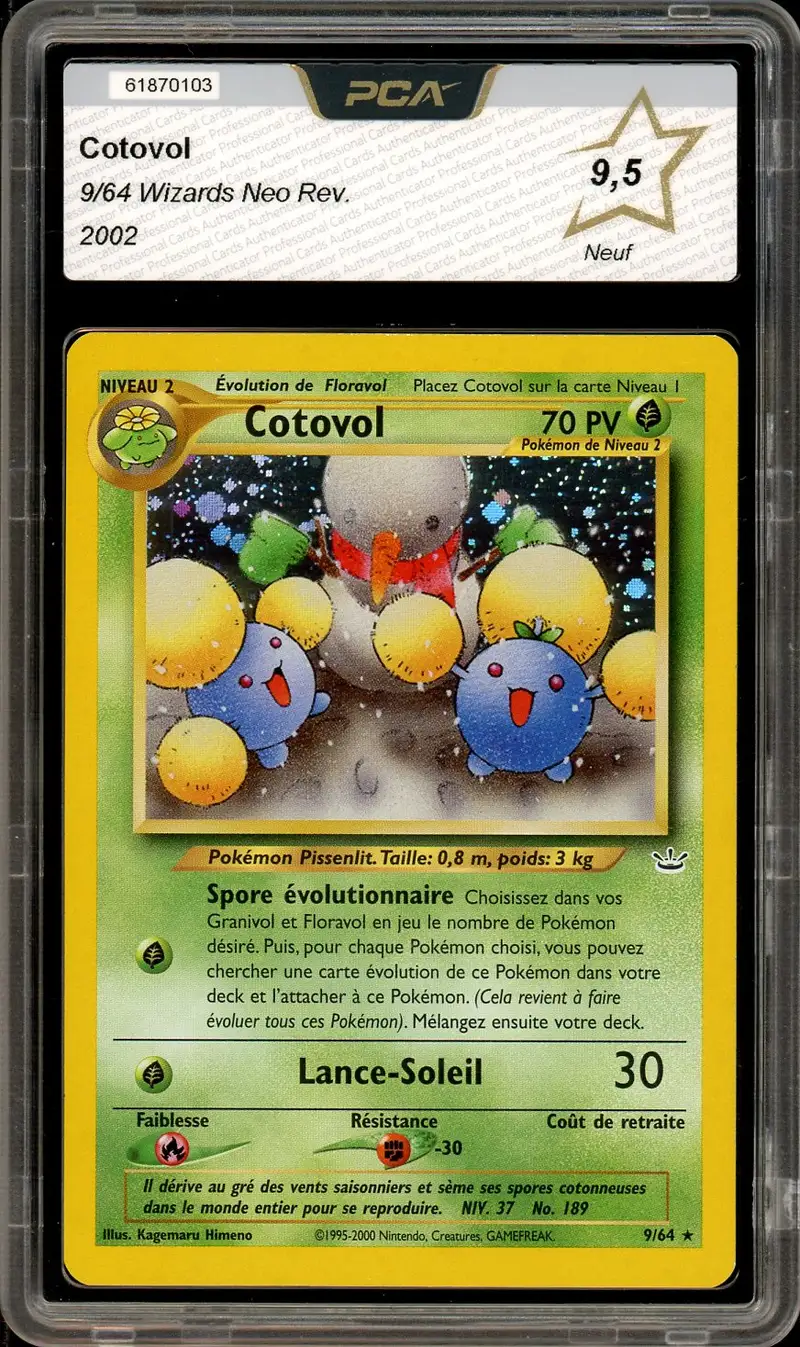 PCA 9.5 Cotovol Holo