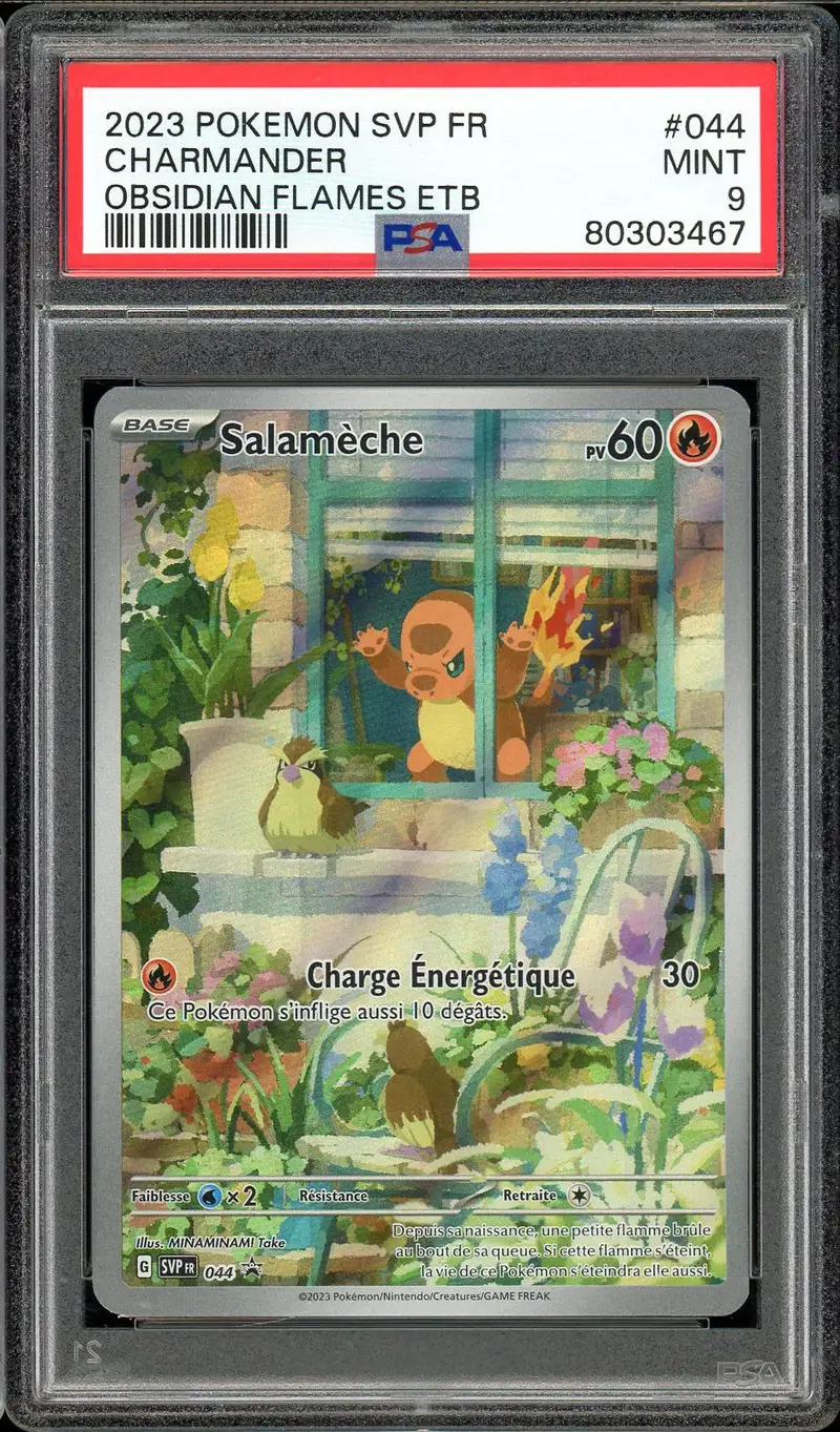 PSA 9 Salamèche