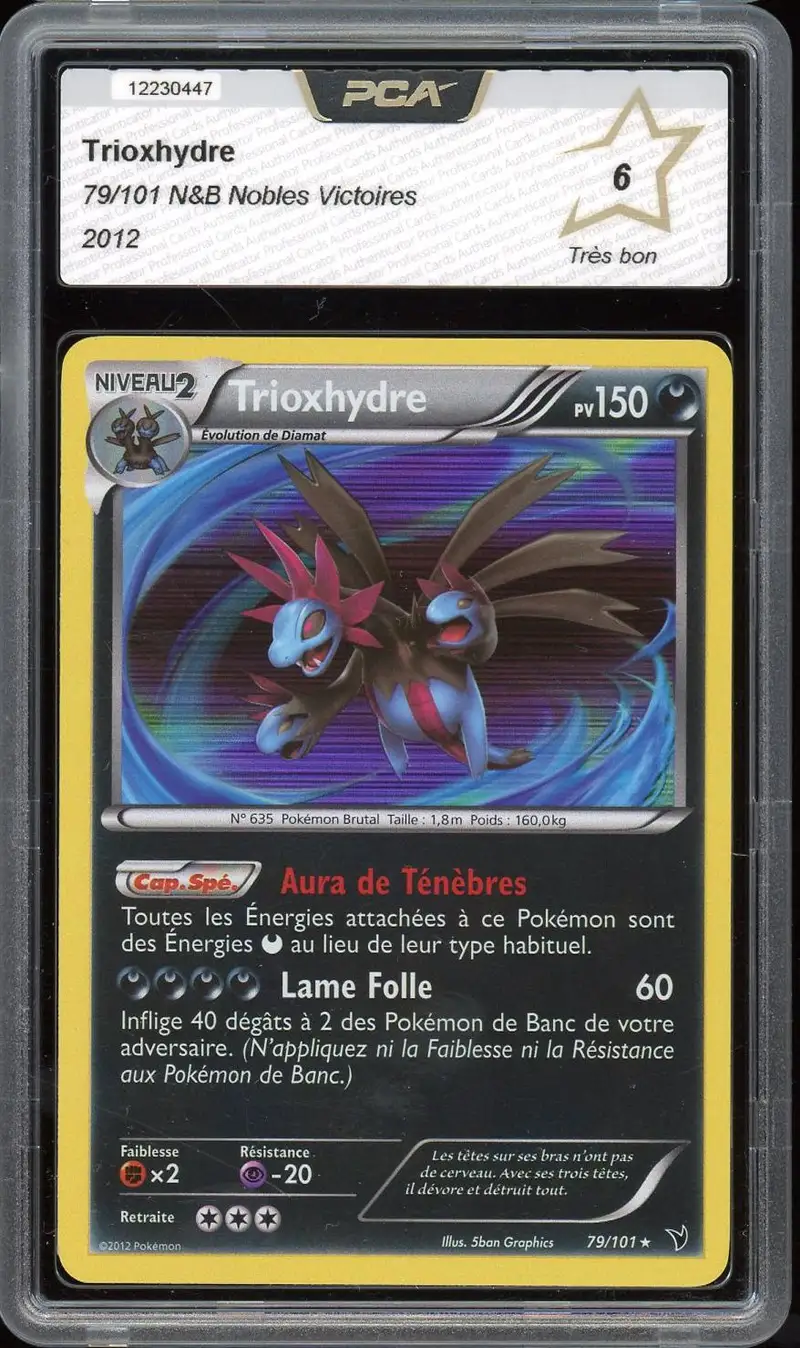 PCA 6 Trioxhydre Holo
