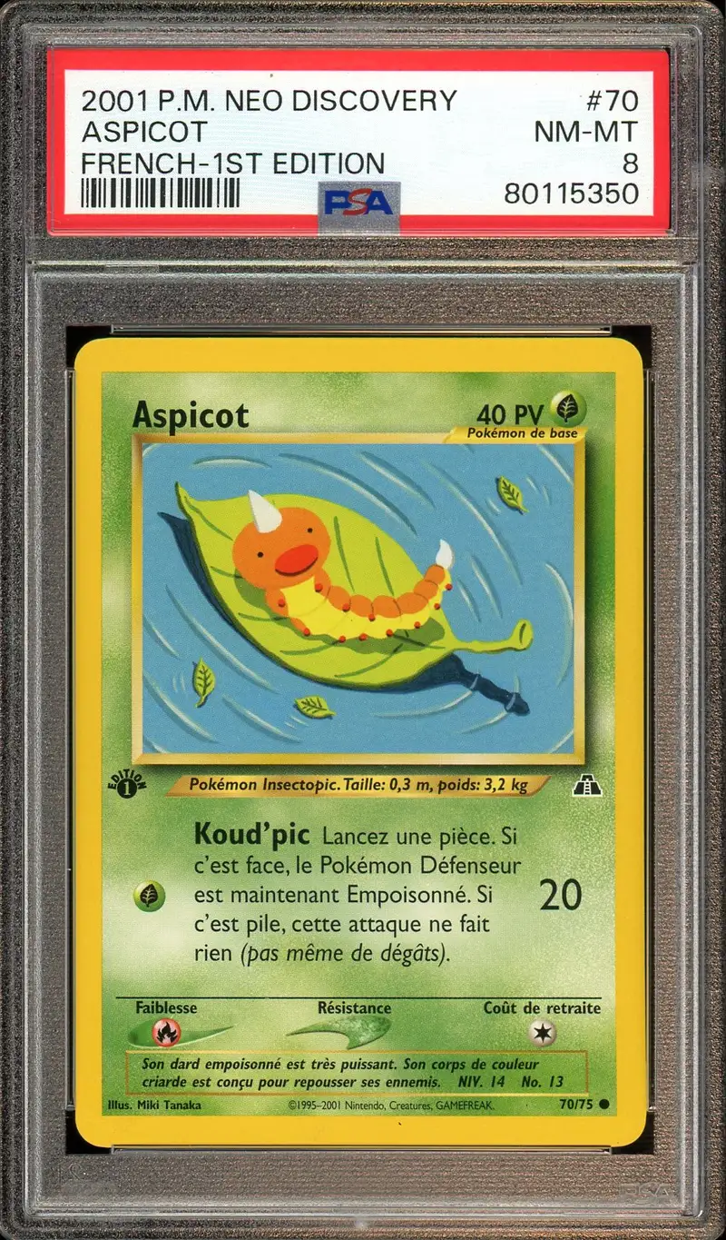PSA 8 Aspicot