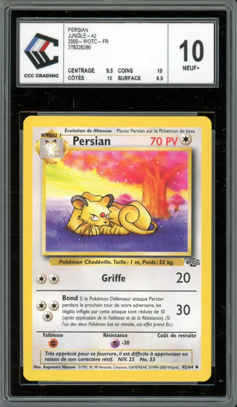 CCC 10 Persian