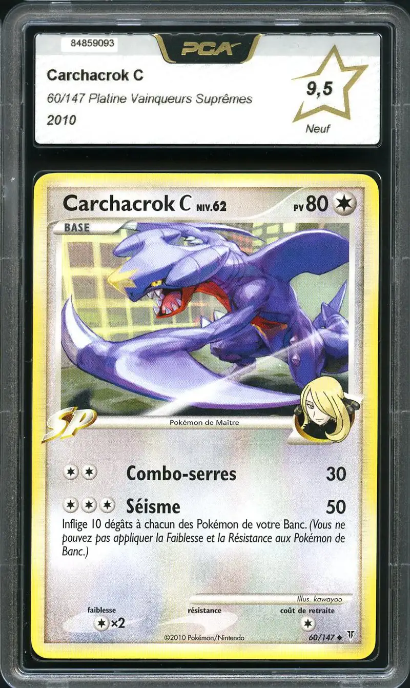 PCA 9.5 Carchacrok C