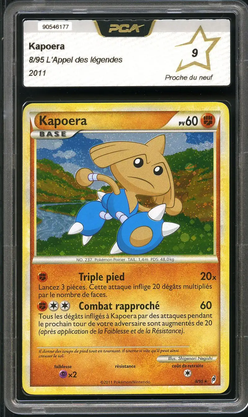 PCA 9 Kapoera Holo