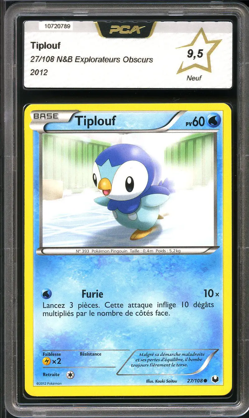 PCA 9.5 Tiplouf