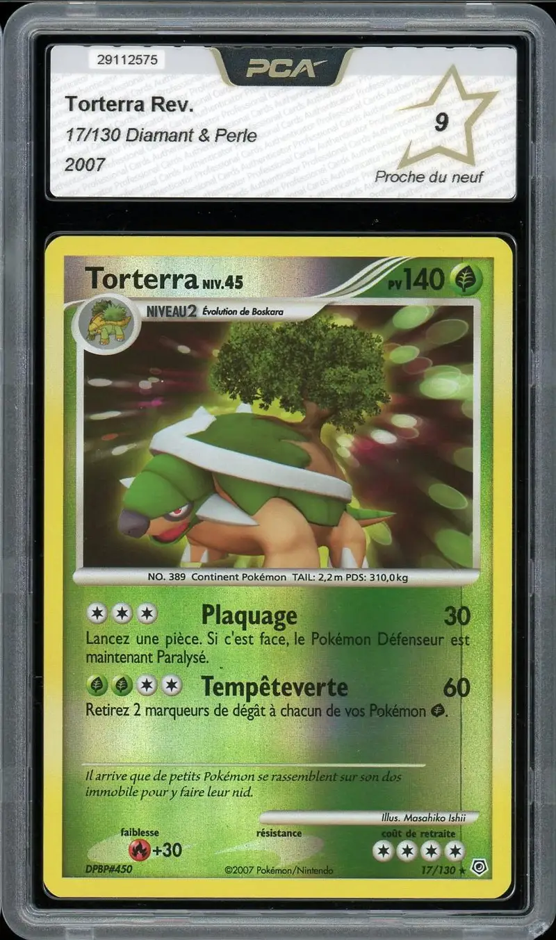 PCA 9 Torterra Reverse