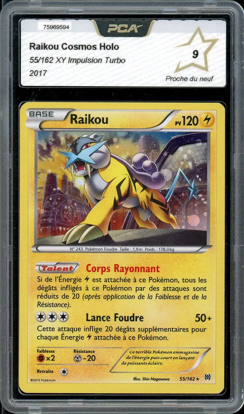 PCA 9 Raikou Holo