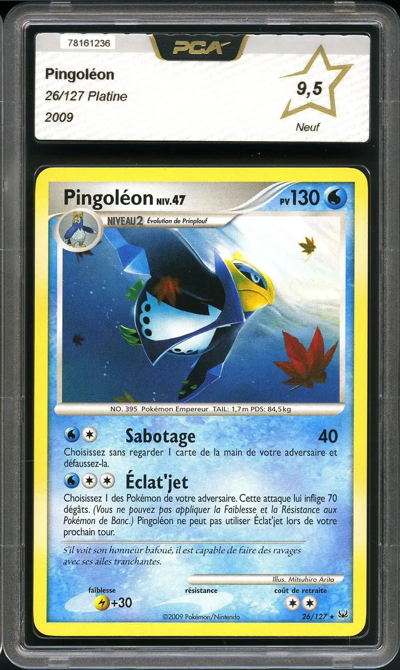 PCA 9.5 Pingoléon