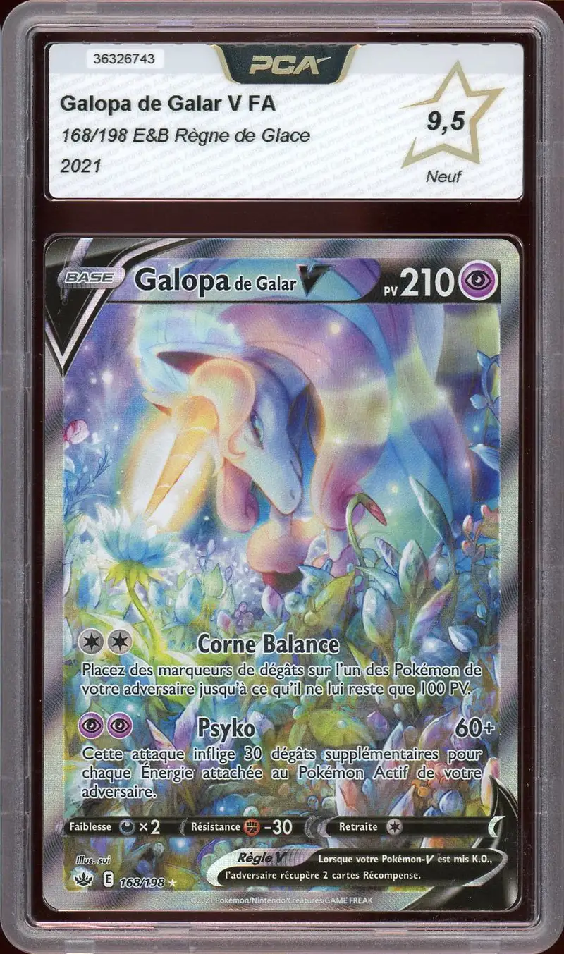 PCA 9.5 Galopa de Galar V
