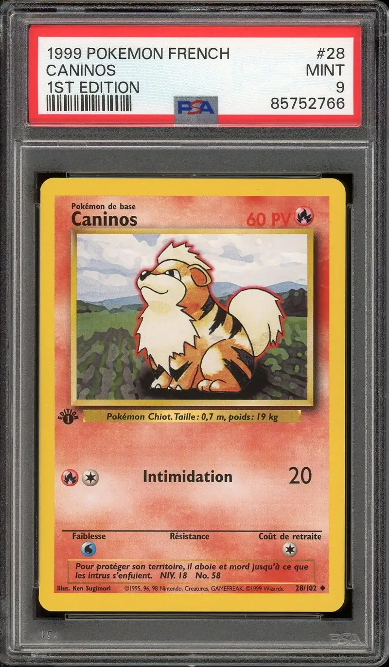 PSA 9 Caninos