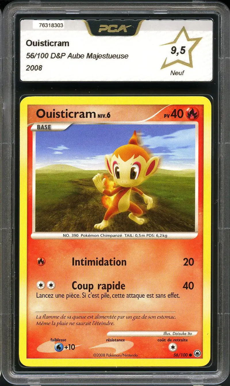 PCA 9.5 Ouisticram