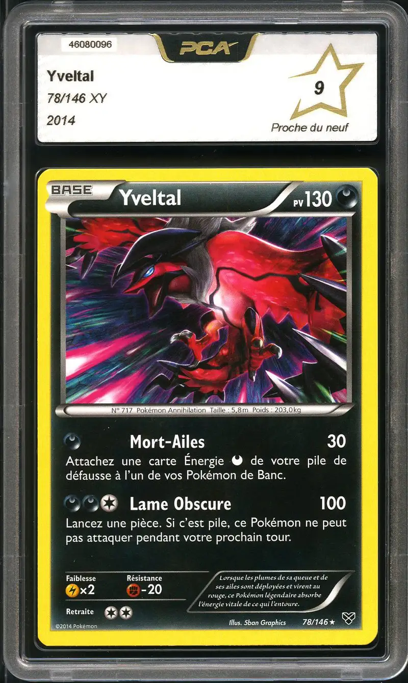 PCA 9 Yveltal