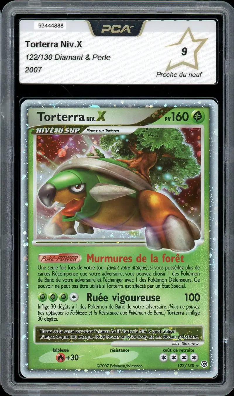 PCA 9 Torterra Niv. X