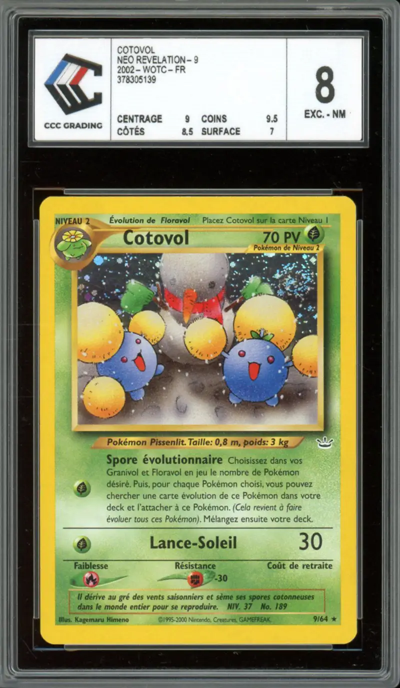 CCC 8 Cotovol Holo