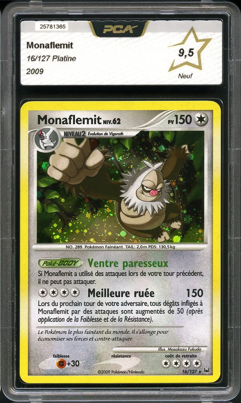 PCA 9.5 Monaflemit Holo