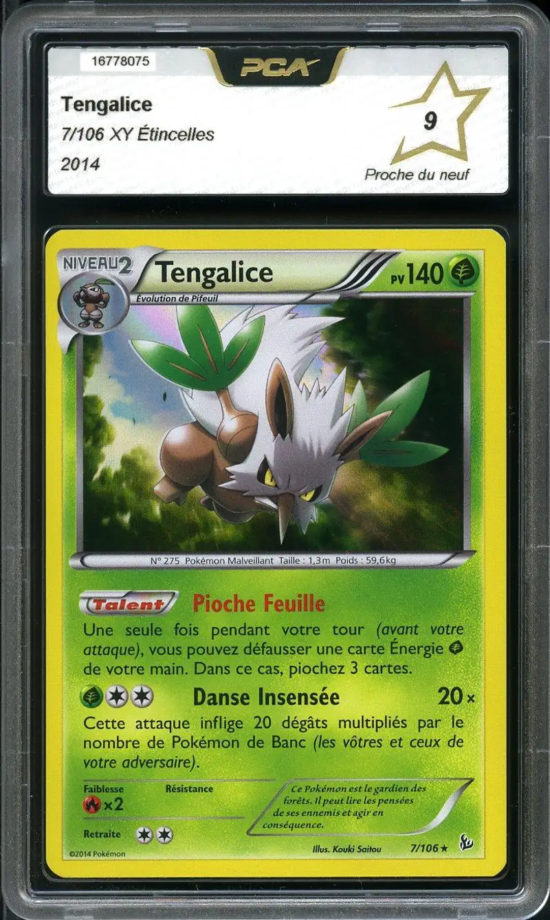 PCA 9 Tengalice Holo