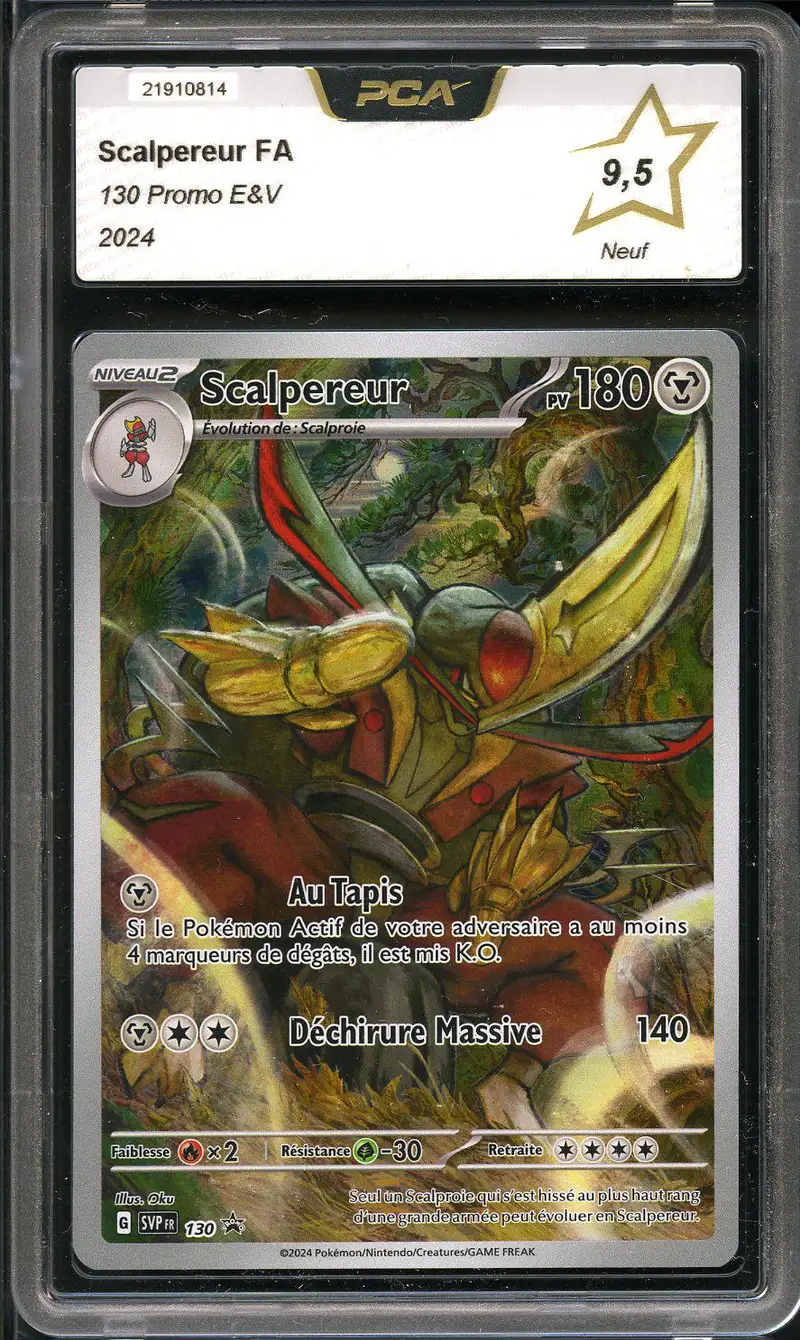 PCA 9.5 Scalpereur