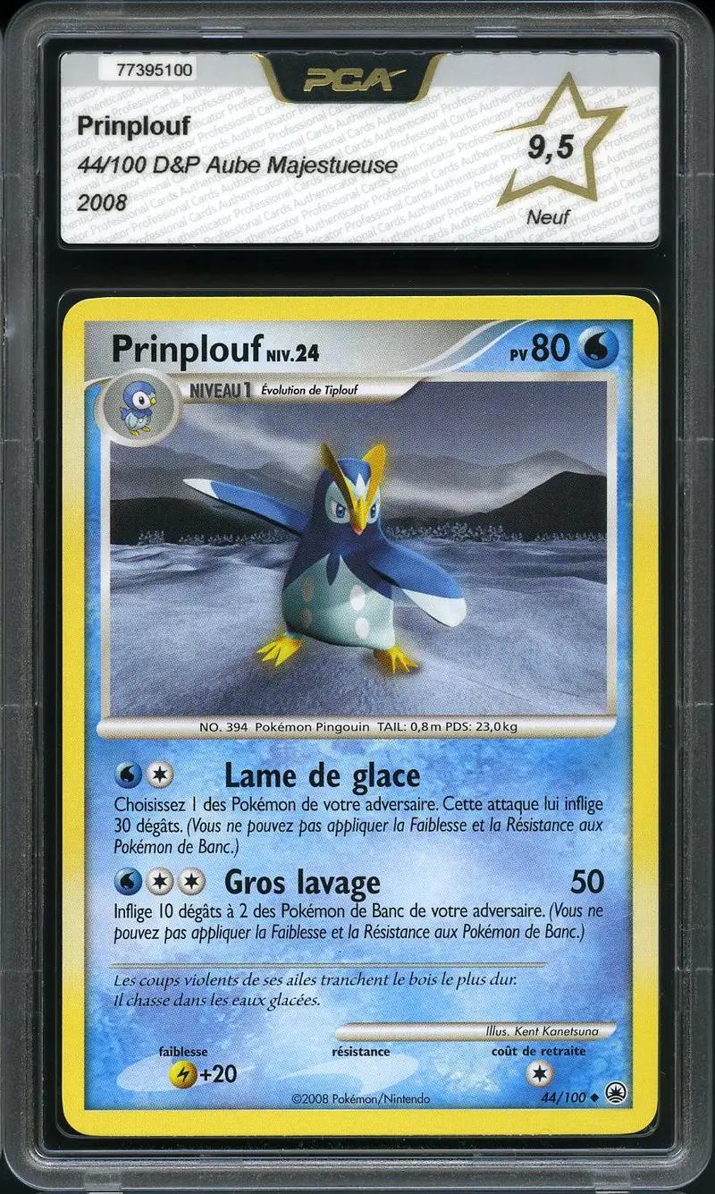 PCA 9.5 Prinplouf